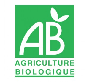 Sauce Arrabbiata aux tomates séchées bio 190gr | Saclà
