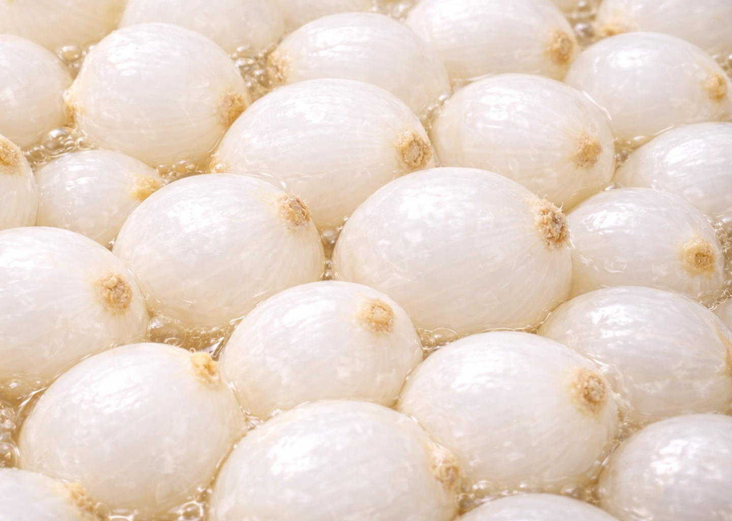 Petits  oignons au vinaigre vin
