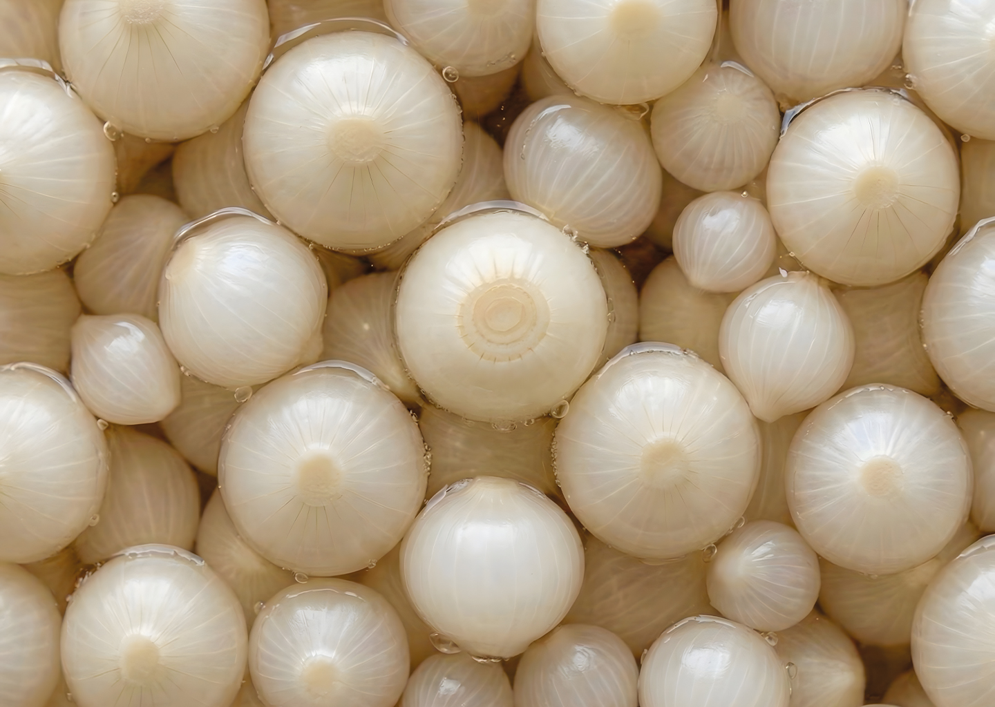 Oignons  borettane au vinaigre balsamique