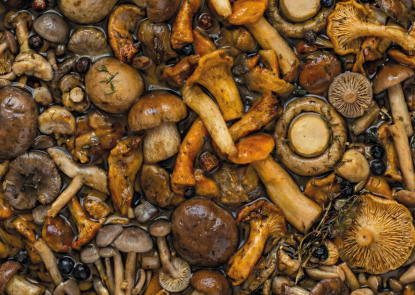 Mélange de champignons à l&rsquo;huile de tournesol