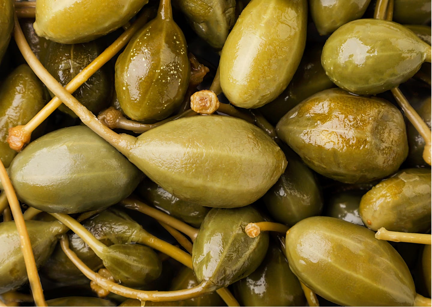 Caprons au  vinaigre de vin