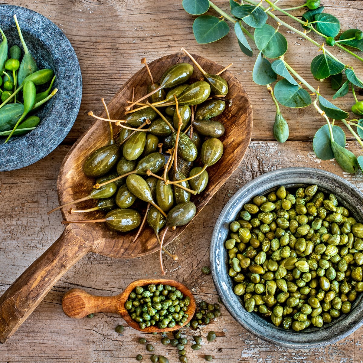 Caprons au  vinaigre de vin